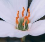 Cuando no puedes continuar