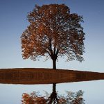 En Dios ponemos nuestra confianza