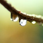 Lágrimas justificadas