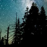 «Y era ya de noche»