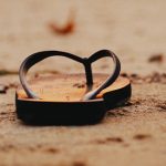 Huéspedes indeseados