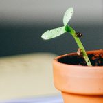 Un espíritu enseñable