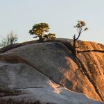 Ceder el control a Dios