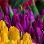 La metáfora del matrimonio