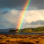 Esperanza del gehena