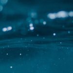 El significado de la vida